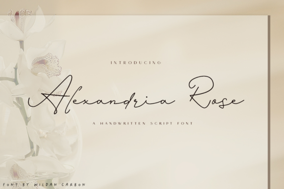 Exploring the Elegance of Alexandria Rose