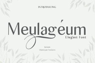 The Allure of Meulageum: A Serif Font for Modern Elegance